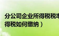 分公司企业所得税税率是多少（分公司企业所得税如何缴纳）