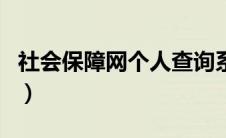 社会保障网个人查询系统（社会保险网上查询）