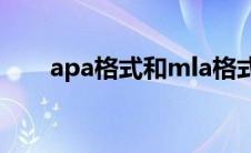apa格式和mla格式区别（apa格式）