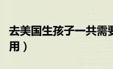 去美国生孩子一共需要多少钱（美国生孩子费用）