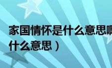 家国情怀是什么意思啊网络用语（家国情怀是什么意思）