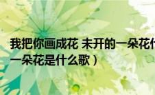 我把你画成花 未开的一朵花什么意思（我把你画成花未开的一朵花是什么歌）
