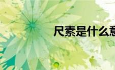尺素是什么意思（尺素）