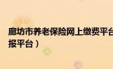 廊坊市养老保险网上缴费平台（廊坊市企业养老保险网上申报平台）