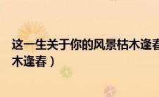 这一生关于你的风景枯木逢春伴奏（这一生关于你的风景枯木逢春）