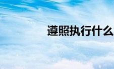 遵照执行什么意思（遵照）