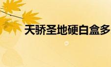 天骄圣地硬白盒多少钱（天骄圣地）