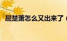 屈楚萧怎么又出来了（屈楚萧是怎么凉的）