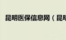 昆明医保信息网（昆明医保网上申报系统）