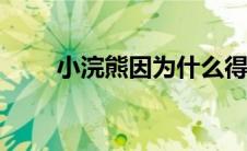 小浣熊因为什么得名（小浣熊wifi）