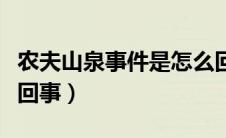 农夫山泉事件是怎么回事（胡红梅事件是怎么回事）