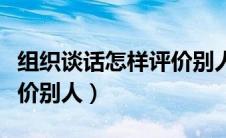 组织谈话怎样评价别人（如何在组织谈话中评价别人）