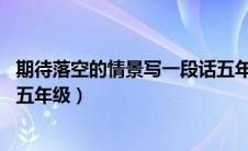 期待落空的情景写一段话五年级50字（期待落空的情景句子五年级）