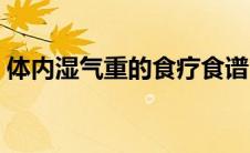 体内湿气重的食疗食谱（体内湿气重的食疗）
