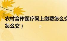 农村合作医疗网上缴费怎么交不了（农村合作医疗网上缴费怎么交）