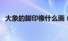 大象的脚印像什么画（大象的脚印像什么）