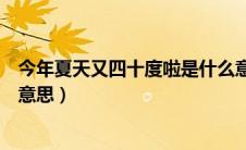 今年夏天又四十度啦是什么意思（今年夏天又四十度是什么意思）