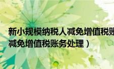 新小规模纳税人减免增值税账务处理流程（新小规模纳税人减免增值税账务处理）
