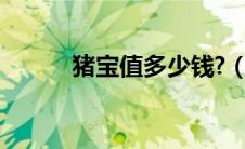 猪宝值多少钱?（猪宝值多少钱）