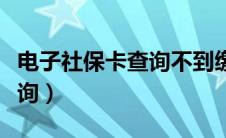 电子社保卡查询不到缴费记录（电子社保卡查询）