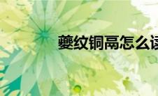 夔纹铜鬲怎么读拼音（夔纹）