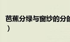 芭蕉分绿与窗纱的分的读音（芭蕉分绿上窗纱）