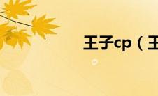 王子cp（王子x王子）