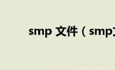 smp 文件（smp文件是什么文件）