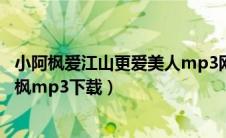 小阿枫爱江山更爱美人mp3网盘下载（爱江山更爱美人小阿枫mp3下载）