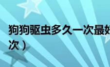 狗狗驱虫多久一次最好（狗狗体内驱虫多久一次）