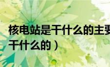 核电站是干什么的主要能生产什么（核电站是干什么的）