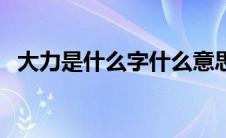 大力是什么字什么意思（大力是什么字夯）