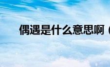 偶遇是什么意思啊（偶遇是什么意思）