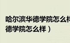 哈尔滨华德学院怎么样好不好多大（哈尔滨华德学院怎么样）