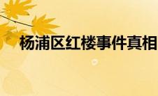 杨浦区红楼事件真相（杨浦区红楼事件）