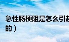 急性肠梗阻是怎么引起的（肠梗阻是怎么引起的）