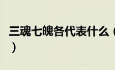 三魂七魄各代表什么（三魂七魄分别掌管什么）