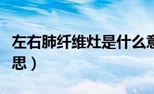 左右肺纤维灶是什么意思（肺纤维灶是什么意思）