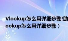 Vlookup怎么用详细步骤!助你成为Excel数据分析高手（vlookup怎么用详细步骤）