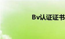 Bv认证证书（bv认证）