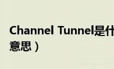 Channel Tunnel是什么意思（tunnel是什么意思）
