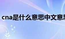 cna是什么意思中文意思（CNA是什么意思）