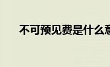 不可预见费是什么意思（不可预见费）