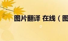 图片翻译 在线（图片翻译在线免费）