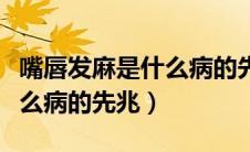嘴唇发麻是什么病的先兆图片（嘴唇发麻是什么病的先兆）
