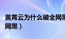 黄霄云为什么被全网黑了（黄霄云为什么被全网黑）