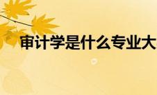 审计学是什么专业大类（审计学是什么）