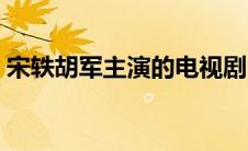 宋轶胡军主演的电视剧（胡军主演的电视剧）