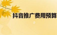 抖音推广费用预算（抖音推广费用）