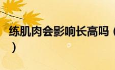 练肌肉会影响长高吗（练肌肉会不会影响长高）